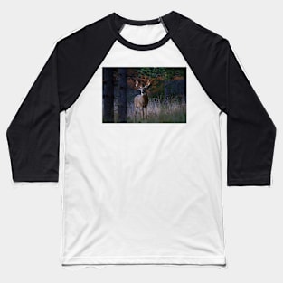 White-tailed Buck Baseball T-Shirt